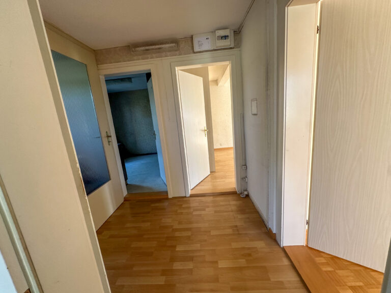 Immochef Weitwinkel 19